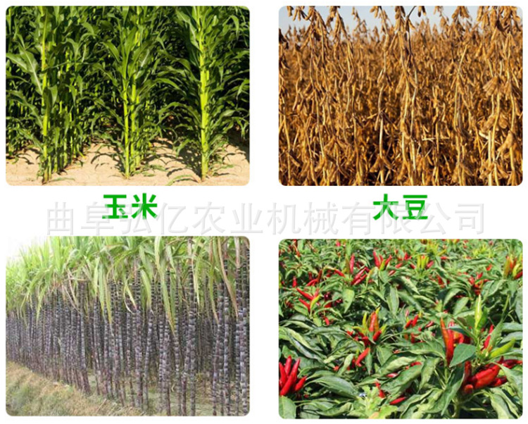 微信圖片_202008241629473.png