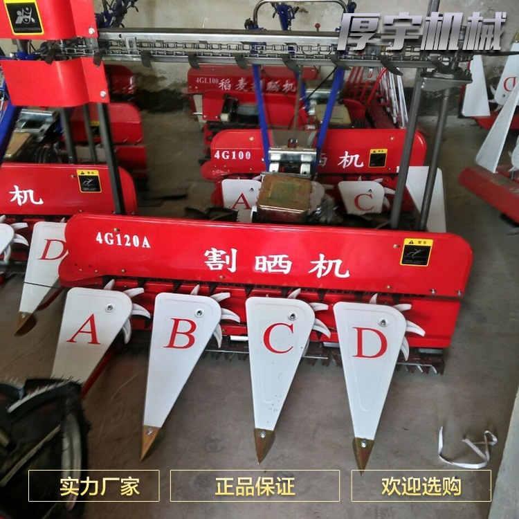 圖層 1