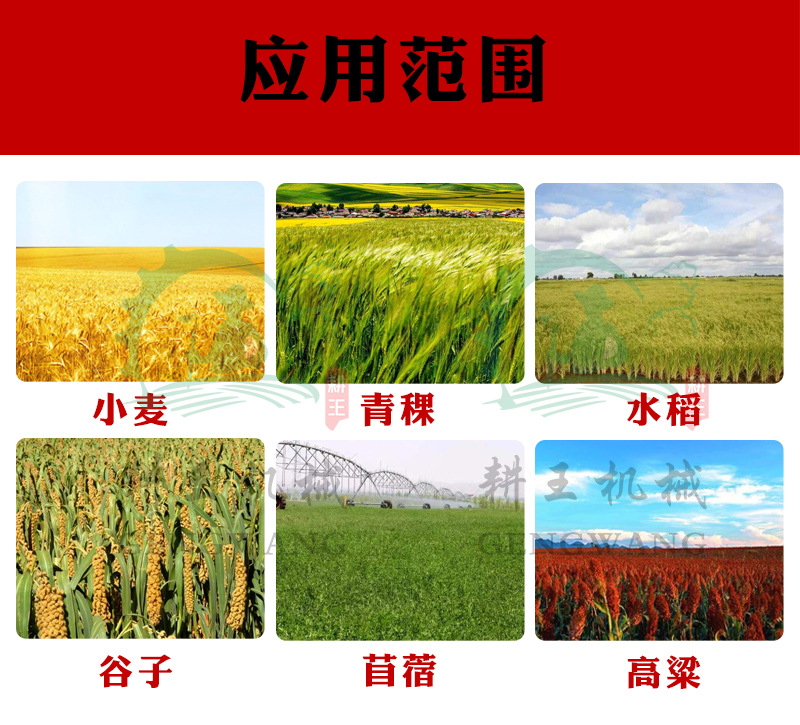 應(yīng)用