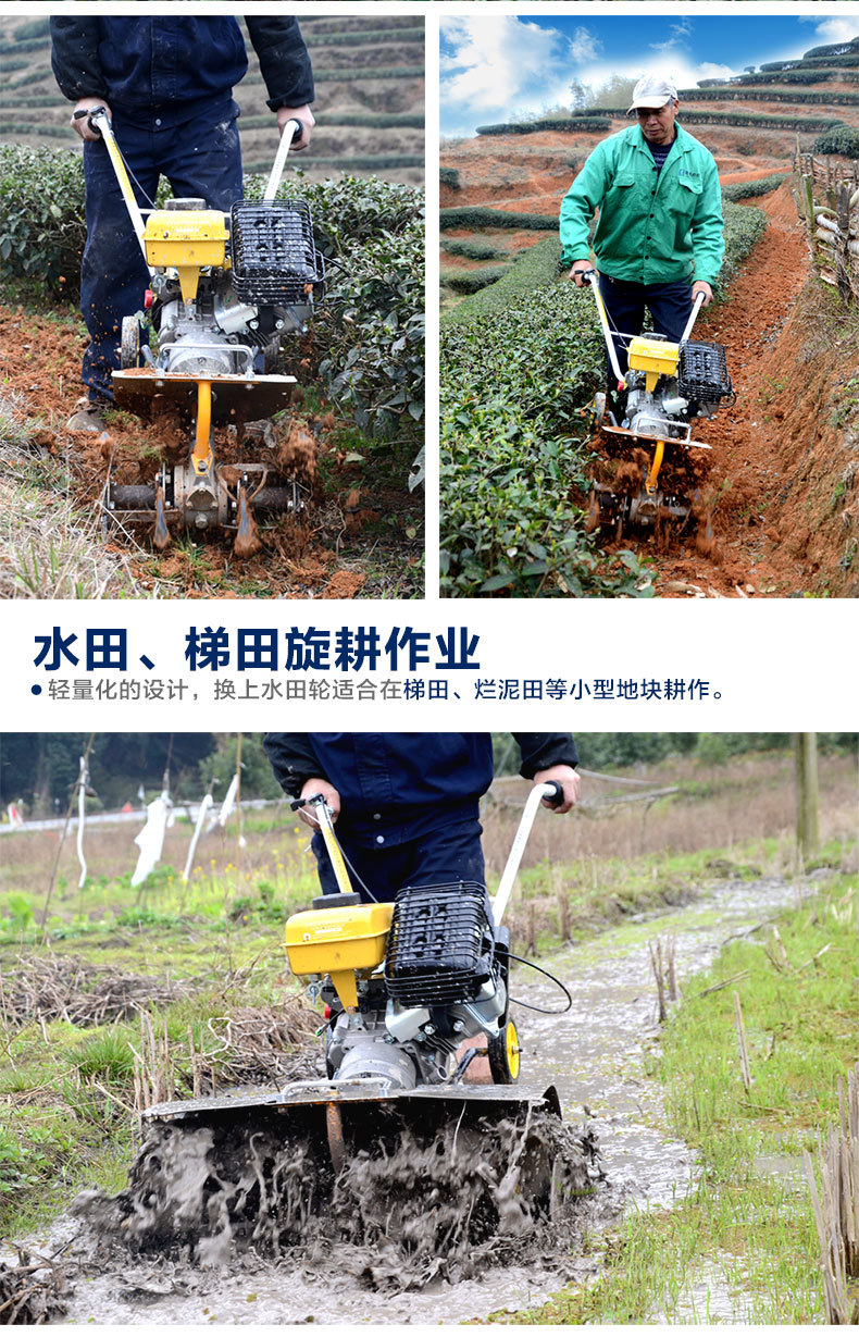 551成品_07.jpg