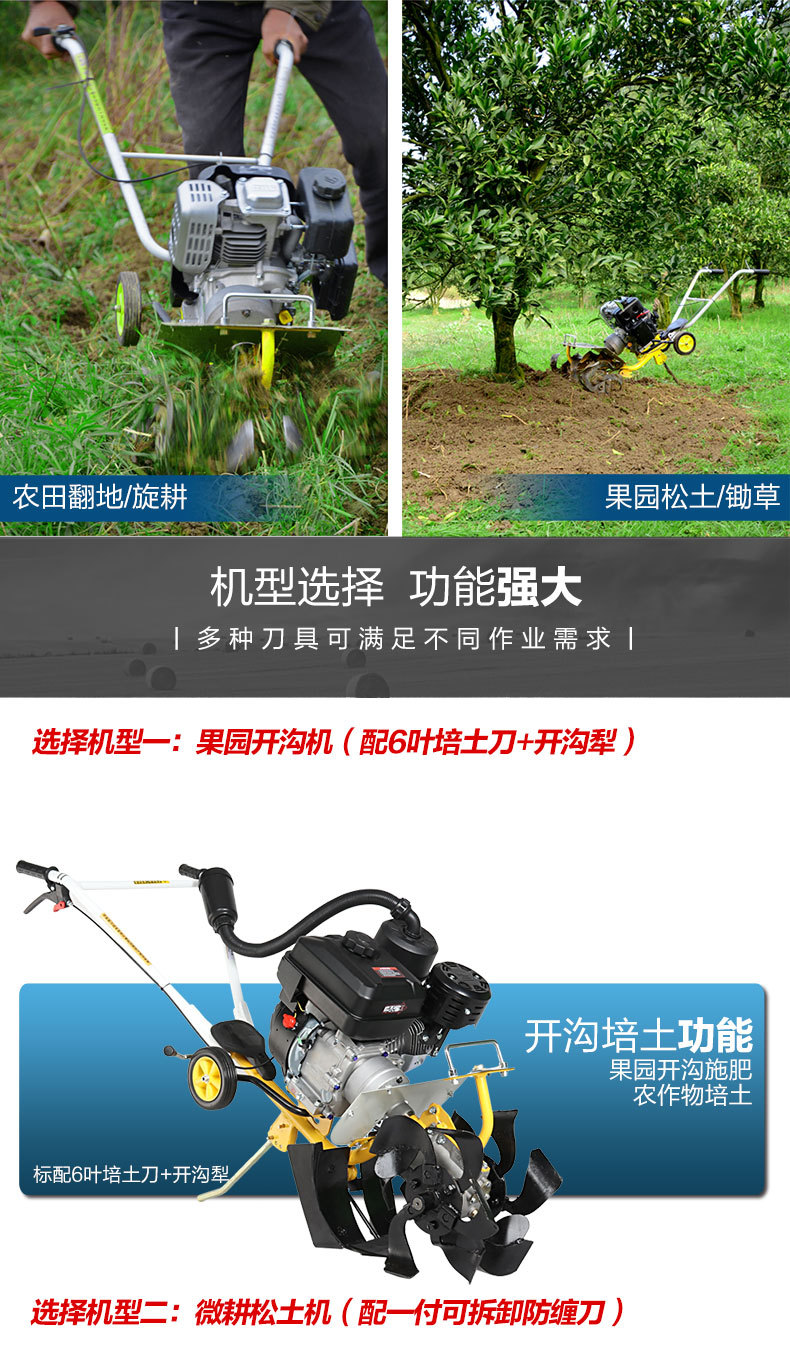551成品_06.jpg
