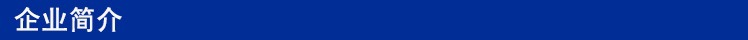 企業(yè)簡(jiǎn)介.jpg