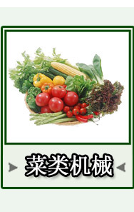 銷(xiāo)售工業(yè) 凍肉制品剁塊機(jī)雞鴨帶骨連續(xù)切丁機(jī)切豆皮設(shè)備 工廠