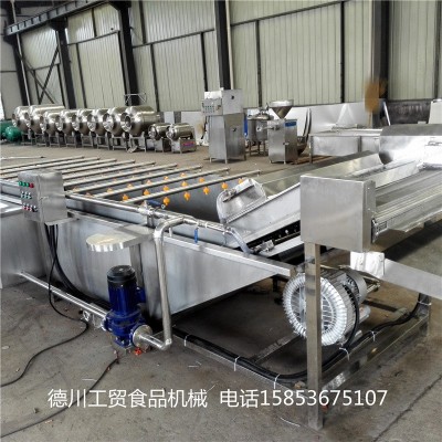 花生毛豆氣泡清洗機 中藥材氣泡清洗設(shè)備 西紅柿氣泡清洗機