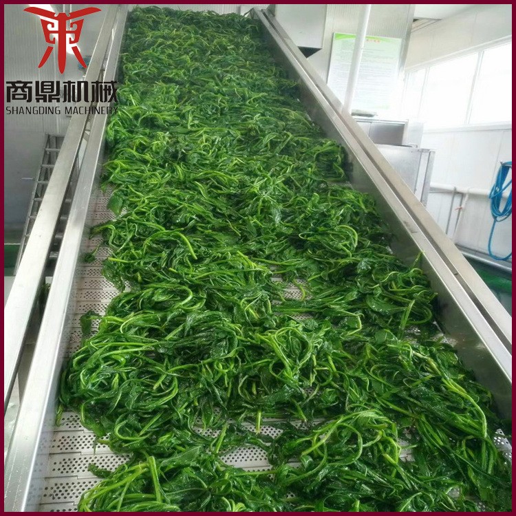 果蔬清洗機 氣泡沖浪噴淋臭氧洗果機 臭氧去農(nóng)殘清洗設備