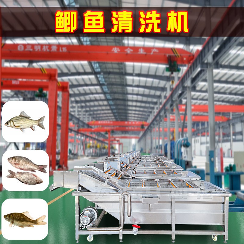 鯽魚清洗加工流水線 全自動鯽魚氣泡清洗機 海產(chǎn)品噴淋清洗設備