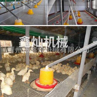 養(yǎng)鴨料線 肉鴨自動喂養(yǎng)設(shè)備自動料線 養(yǎng)殖料線