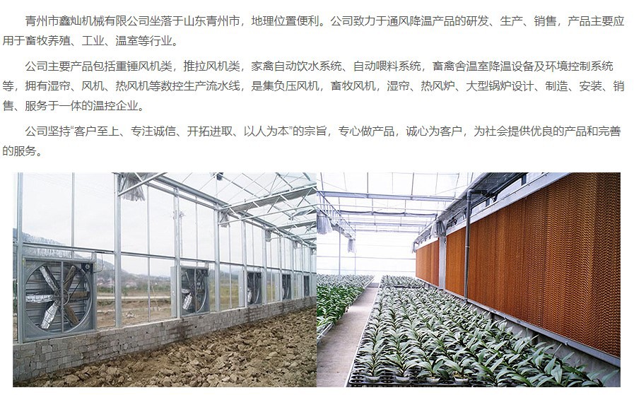 公司介紹