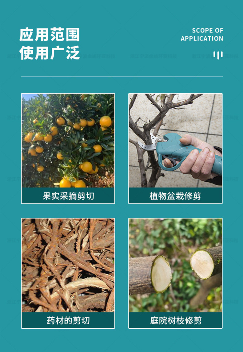 30公分鋰電修枝剪_03.jpg