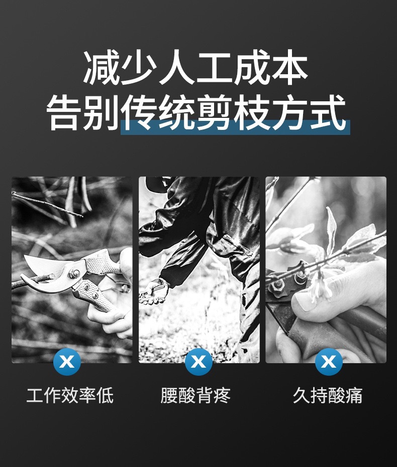 詳情3.jpg