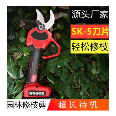 電動(dòng)修枝剪園林剪刀果樹樹枝剪鋰電剪果樹修枝剪刀電動(dòng)修枝剪