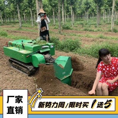 300L容量小型果園噴霧機 風(fēng)送式果樹打藥機 自走式消毒噴藥機