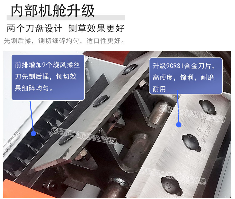 綠色_06.jpg