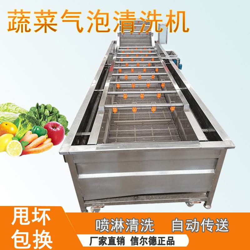 蔓越莓氣泡果蔬清洗機 全自動山野菜蔬菜加工設(shè)備 醬菜脫鹽清洗機