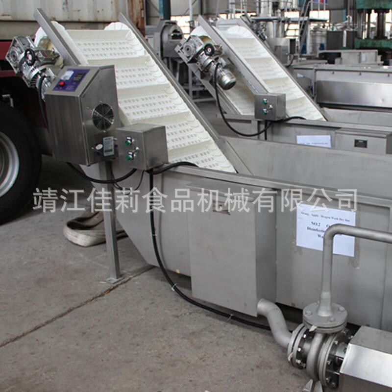 鼓泡浮選機(jī) 水果清洗機(jī) 蔬菜翻洗機(jī) 沖浪洗果機(jī)
