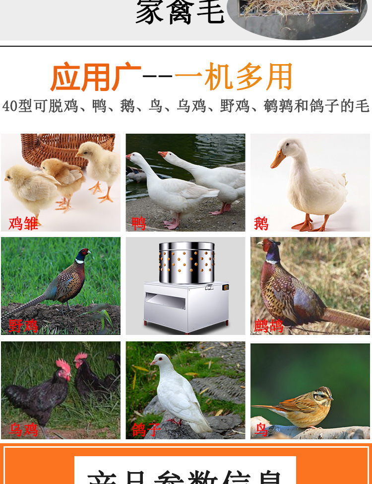 頁頭