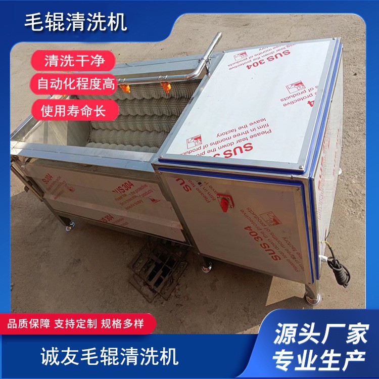 全自動(dòng)商用毛輥清洗機(jī) 土豆大姜紅薯去皮清洗設(shè)備