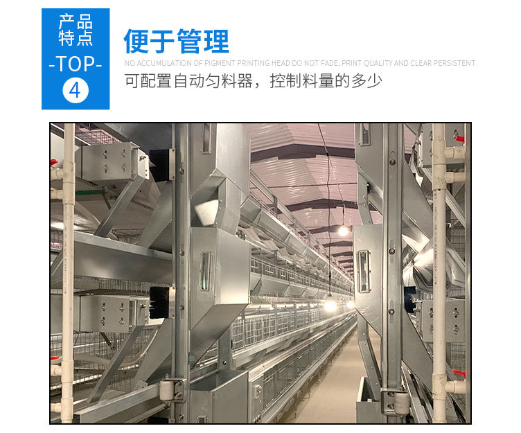 蛋雞籠_05.jpg