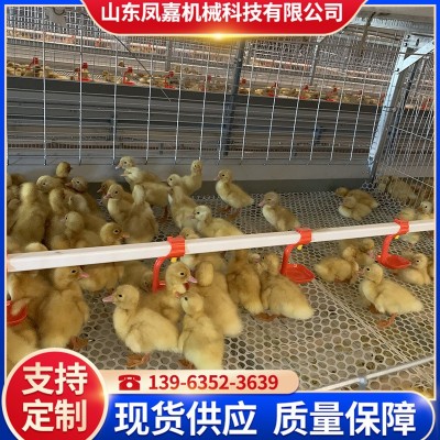 現(xiàn)貨供應(yīng)籠養(yǎng)設(shè)備 農(nóng)業(yè)養(yǎng)殖機械肉鴨籠 鴨子籠養(yǎng)殖場用的肉鴨籠
