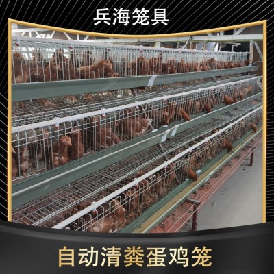 三層階梯式蛋雞籠輸送帶清糞省人工自動養(yǎng)殖設備養(yǎng)雞設備自動化