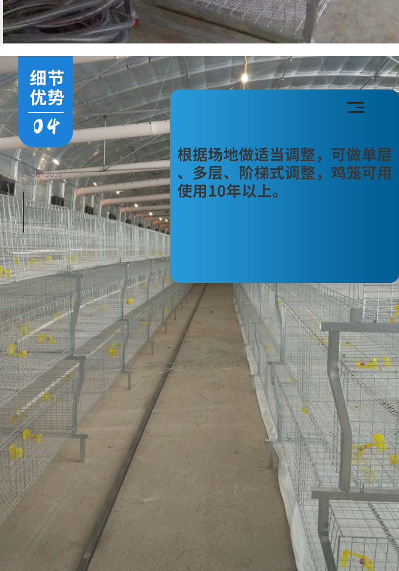 肉雞籠_08