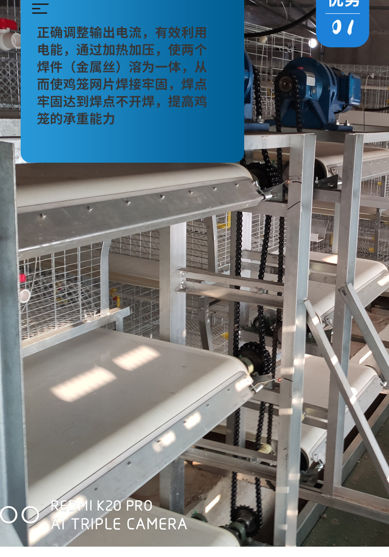 肉雞籠_05