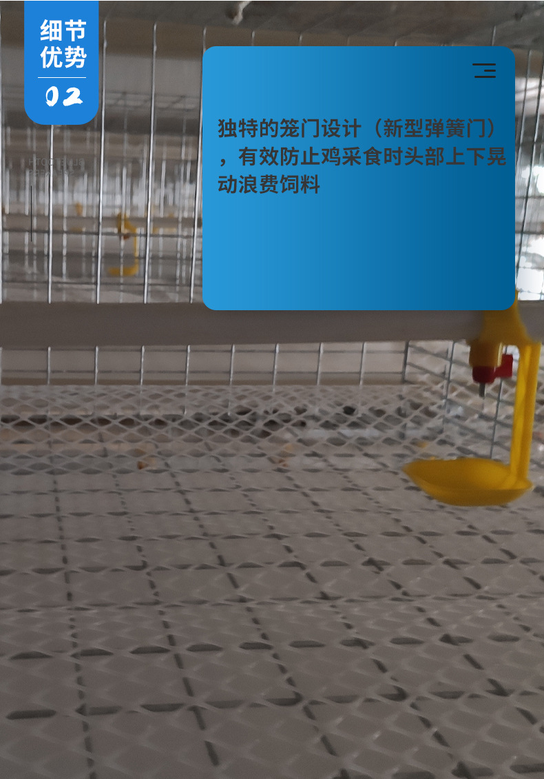 肉雞籠_06