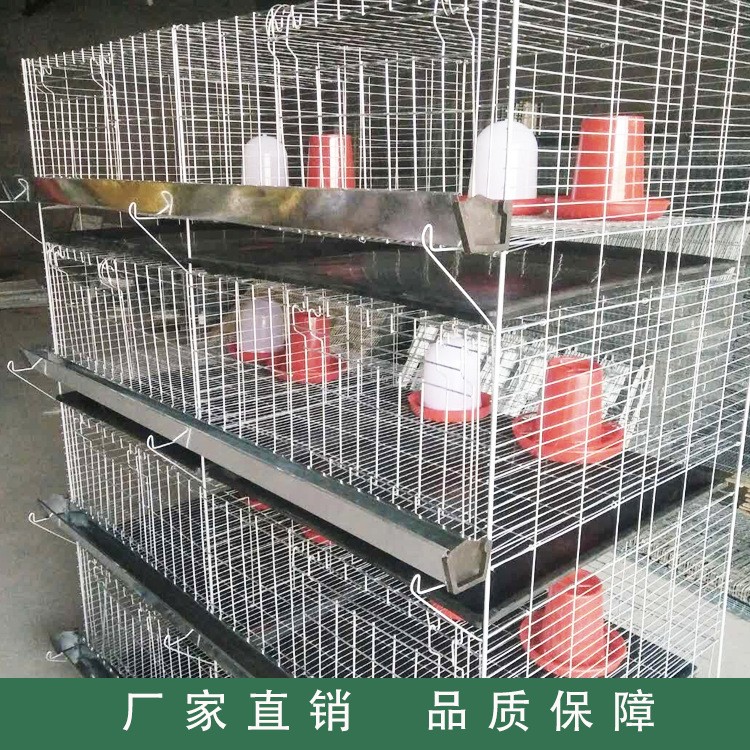 廠家供應(yīng)雞籠 四層立體式小雞籠 雞籠設(shè)備養(yǎng)殖雞籠批發(fā)家禽養(yǎng)殖設(shè)
