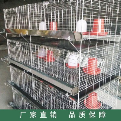 廠家供應雞籠 四層立體式小雞籠 雞籠設備養(yǎng)殖雞籠批發(fā)家禽養(yǎng)殖設