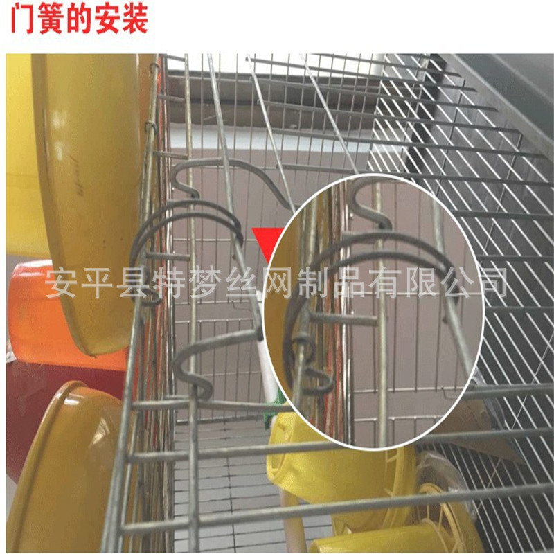雛雞籠02.jpg
