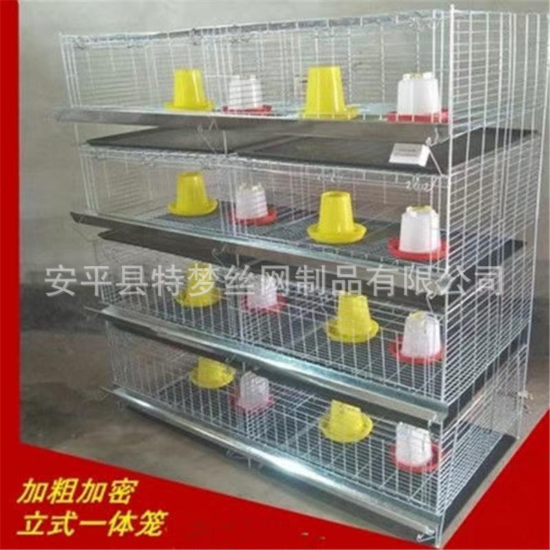雛雞籠08.jpg