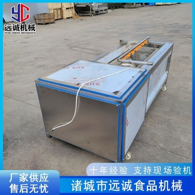 供應(yīng)姜不辣紫薯去皮機(jī) 海螺毛刷清洗機(jī) 全自動毛輥清洗機(jī)設(shè)備