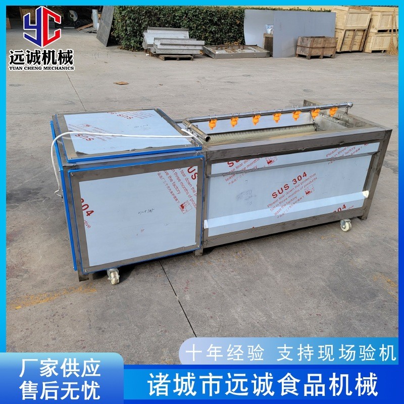 胡蘿卜毛輥去皮機(jī) 全自動毛刷去皮機(jī) 土豆海蠣子毛刷清洗機(jī)設(shè)備