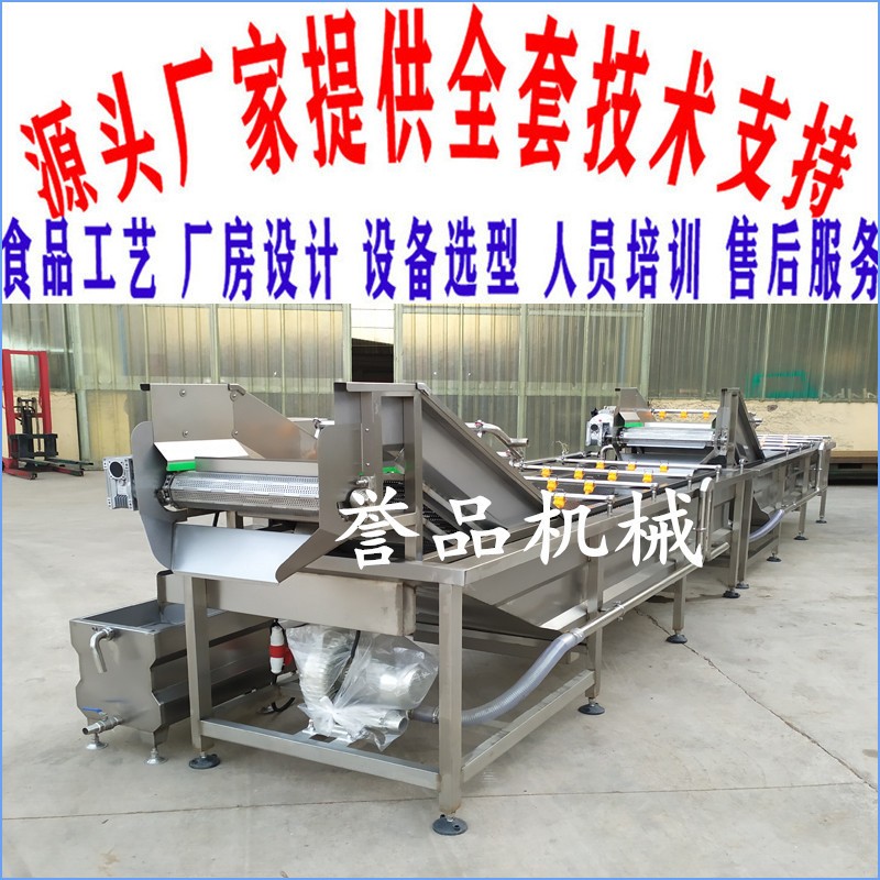 魚類貝殼類氣泡清洗機(jī)價格優(yōu)惠 凈菜加工設(shè)備 果蔬氣泡噴淋清洗機(jī)