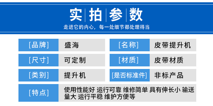 皮帶提升機_02.jpg