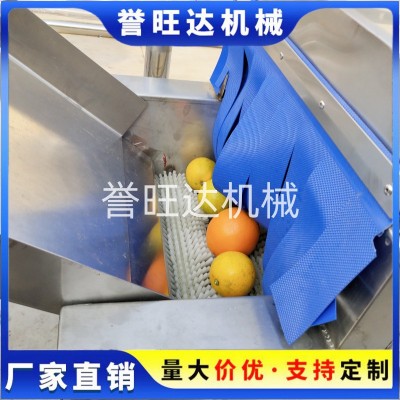 山竹橙子清洗機(jī) 自動鼓泡水果清洗機(jī) 小型打蠟分級風(fēng)干洗臍橙機(jī)