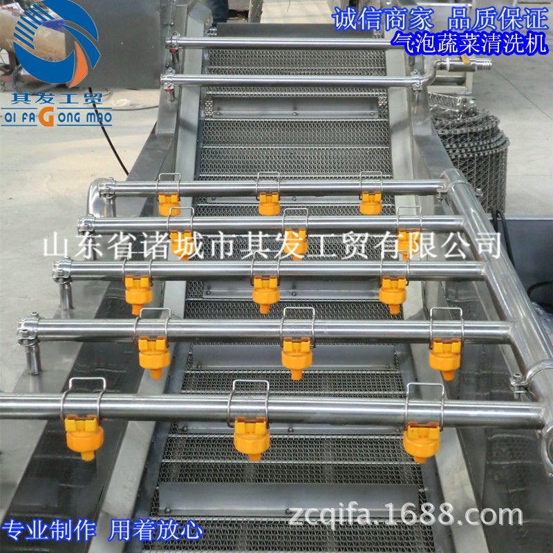 諸城市其發(fā)工貿(mào)供應氣泡翻浪清洗機 葉菜類蔬菜清洗機 瓜果清洗