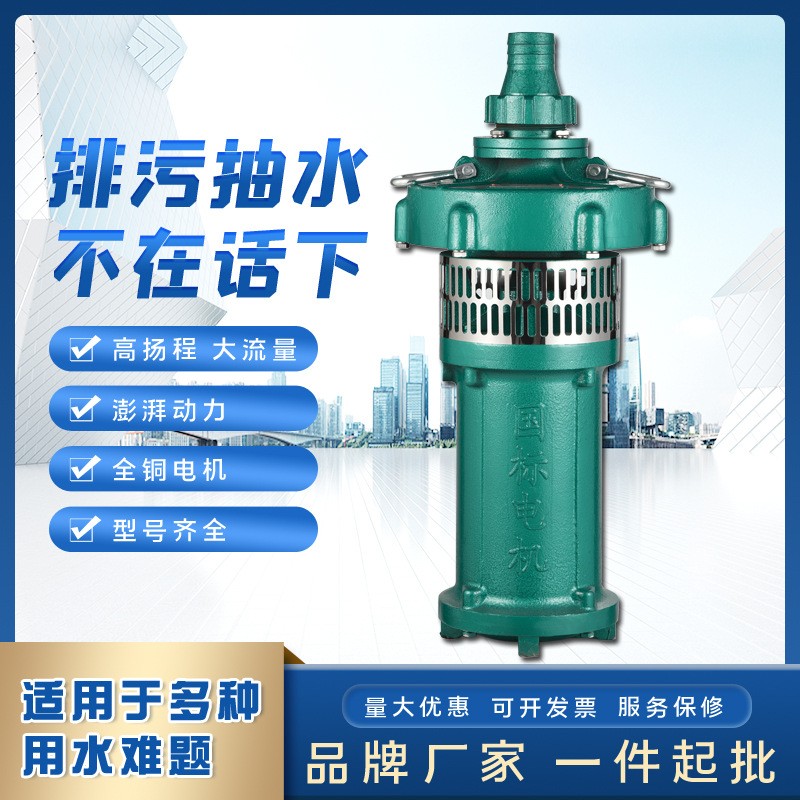 人民QY潛水電泵 三相充油式園林排灌大流量油浸泵高揚(yáng)程農(nóng)用泵