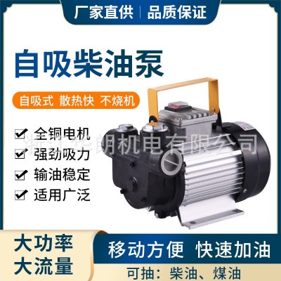 廠家批發(fā)220V電動自吸加油泵大功率抽油泵大流量抽油機(jī)柴油泵煤油