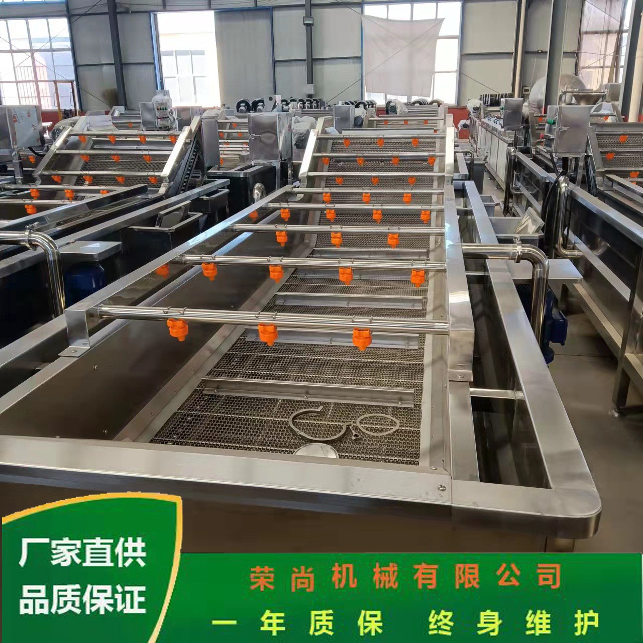 榮尚噴淋式果蔬清洗機(jī) 葉類蔬菜高壓氣泡清洗機(jī) 清洗設(shè)備