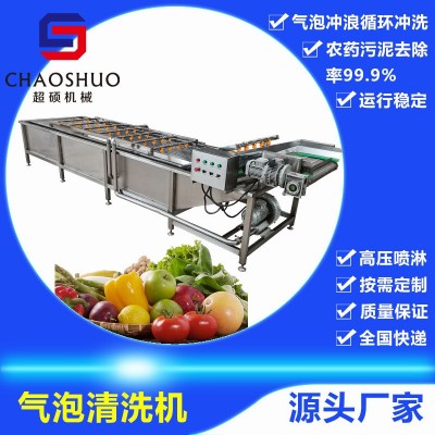 果蔬清洗機 甲魚清洗機 海鮮清洗機 氣泡和噴淋結(jié)合 氣泡清洗機