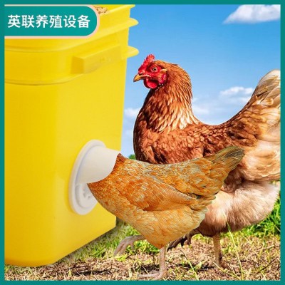 雞用喂料器家禽自動(dòng)喂食器雞料筒雞用飼料桶雞用喂料桶禽類(lèi)喂料口