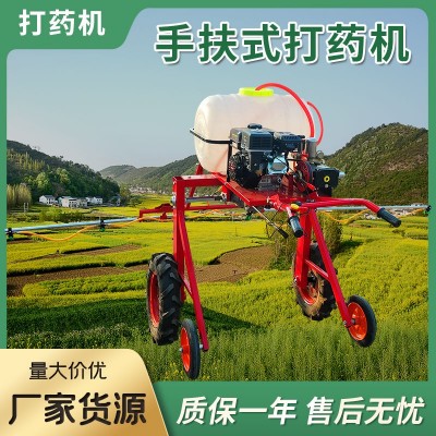 小型農(nóng)用打藥機(jī) 手扶式土豆蔬菜大棚噴藥機(jī) 汽油柴油動力噴桿噴霧機(jī)