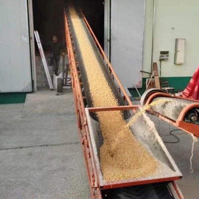 糧食皮帶輸送機 移動式伸縮輸送 裝車卸貨 物流搬撿