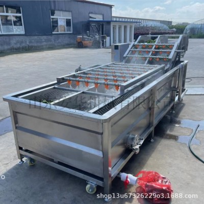 廠家供應(yīng)果蔬氣泡清洗機 西紅柿辣椒洗菜機 不銹鋼噴淋式清洗設(shè)備