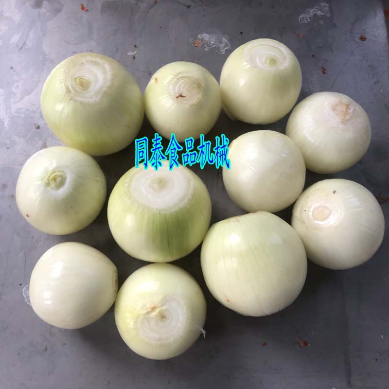 洋蔥
