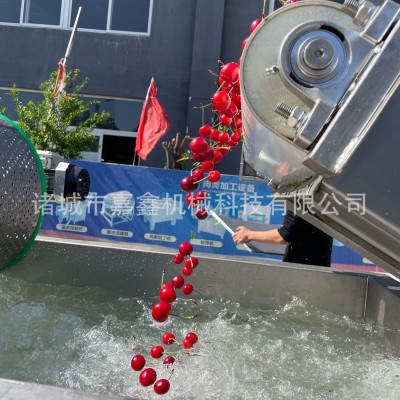 嘉鑫生產(chǎn)漩流芹菜段清洗機(jī) 多功能菜椒塊渦流清洗震動瀝水一體機(jī)