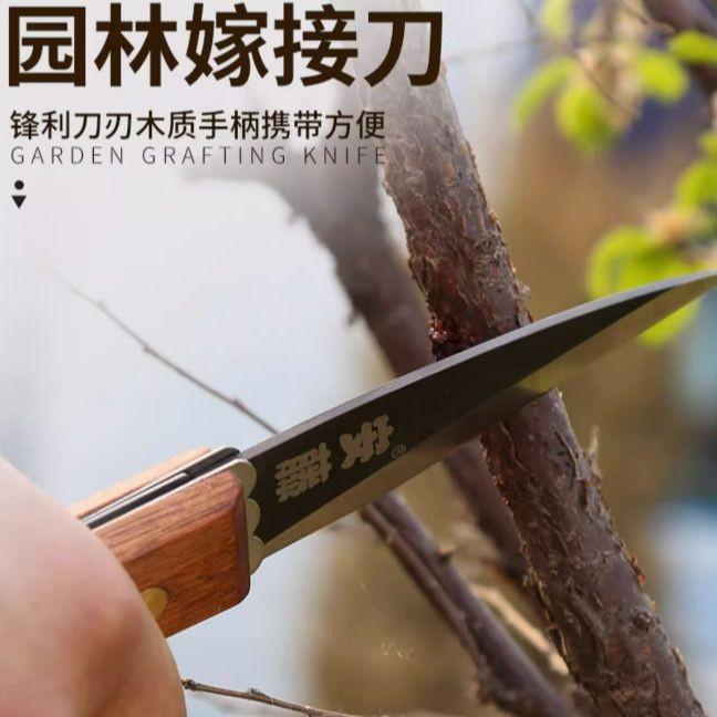 臺(tái)灣安藤園林園藝工具 AT-A408苗木嫁接刀果樹稼接工具折疊芽接刀
