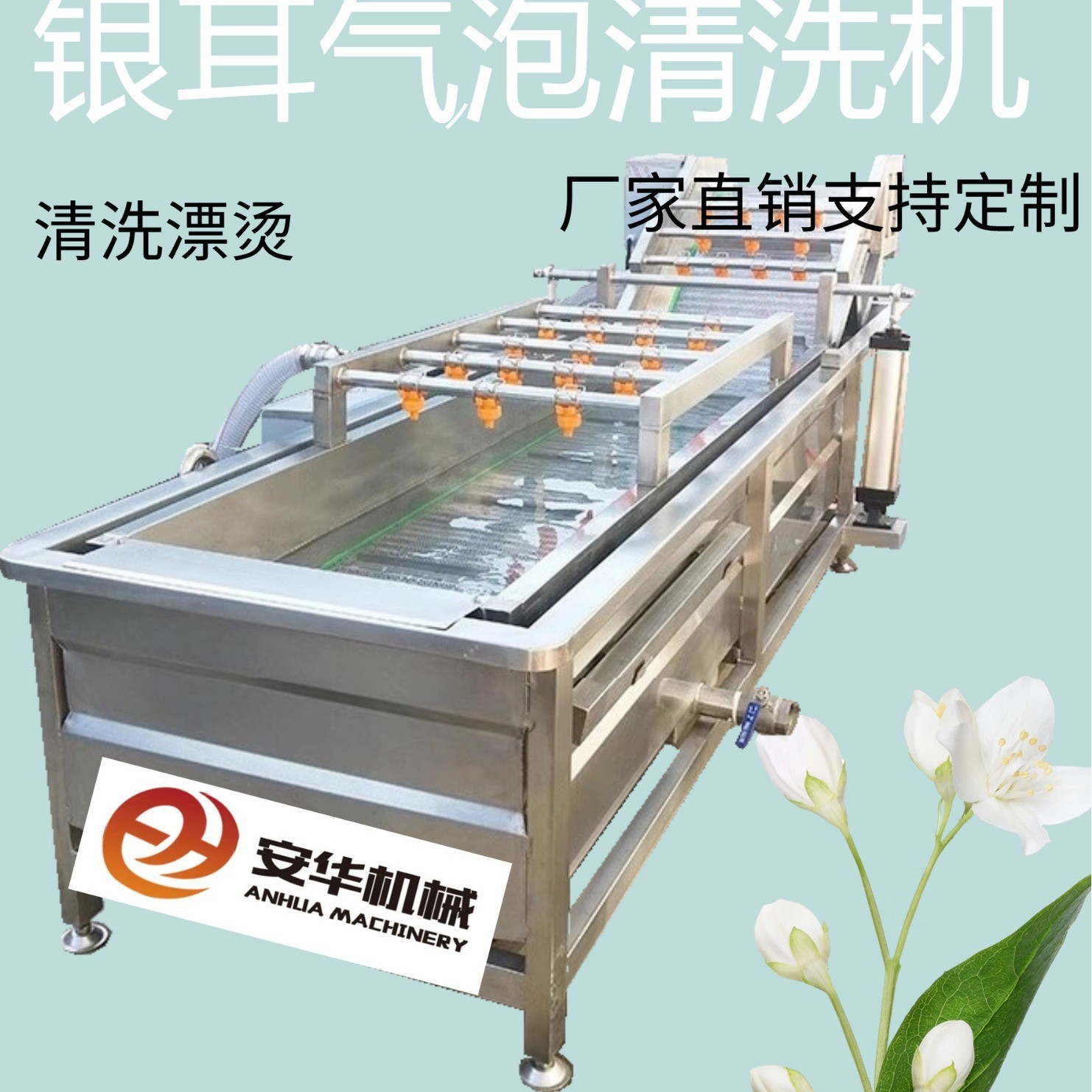 全自動果蔬氣泡清洗機藍莓圣女果銀耳毛豆清洗機臭氧果蔬消毒設(shè)備
