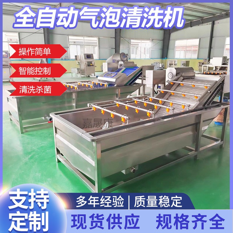 全自動蘋果氣泡清洗機不銹鋼商用預(yù)制菜清洗設(shè)備果蔬氣泡清洗機